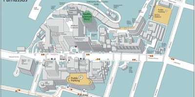 UcSF parnàs campus ma